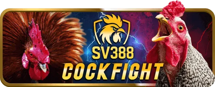 Hỗ trợ khách hàng Vicwin